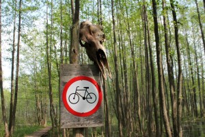 Wejście na niektóre szlaki z rowerem surowo wzbronione